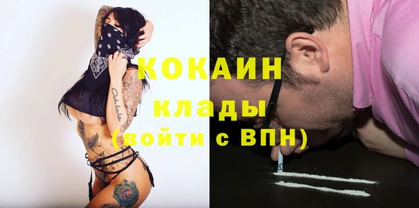 крисы Краснослободск