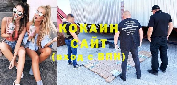 крисы Краснослободск