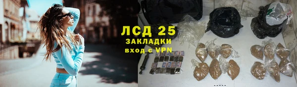 крисы Краснослободск