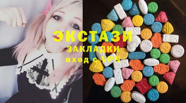 крисы Краснослободск