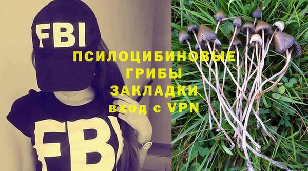 крисы Краснослободск