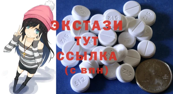 крисы Краснослободск