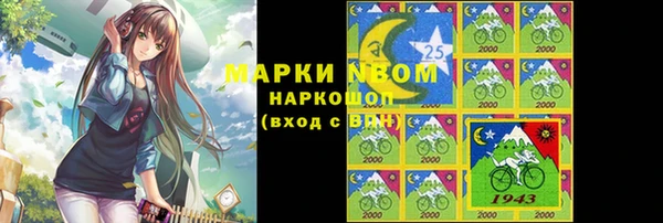 крисы Краснослободск